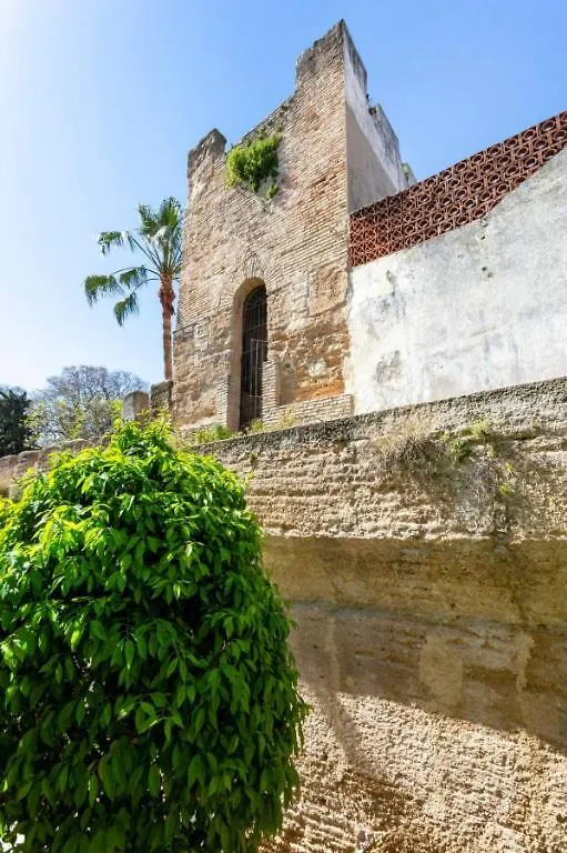 Homestay Old Cellar Surrounded By A 12Th Century Wall Parking Free Jerez de la Frontera